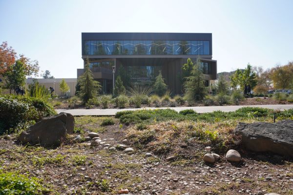 picture of building in the sun