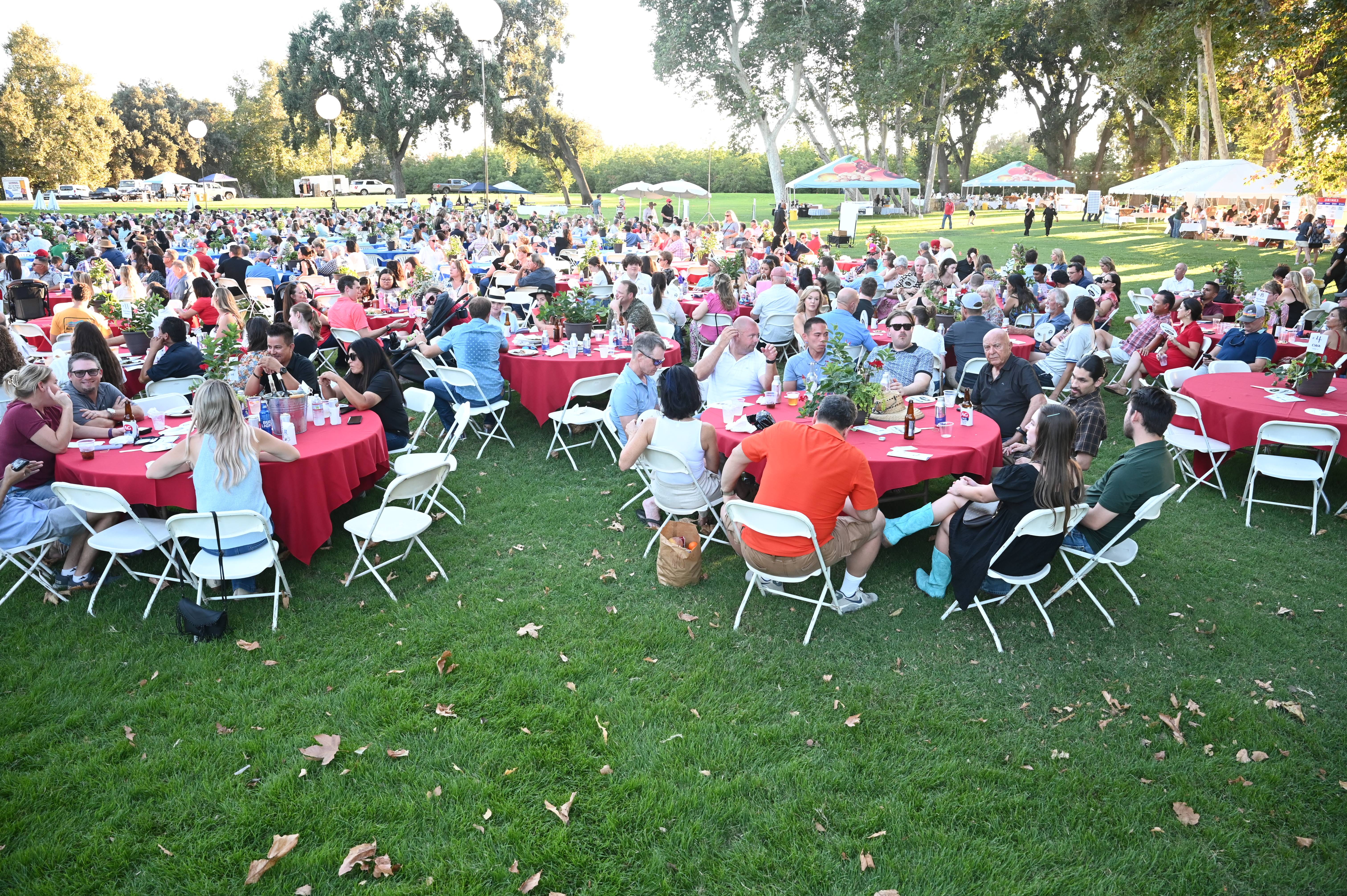 Outlook of Tables at the BBQ 