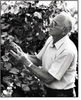 Angelo papagni