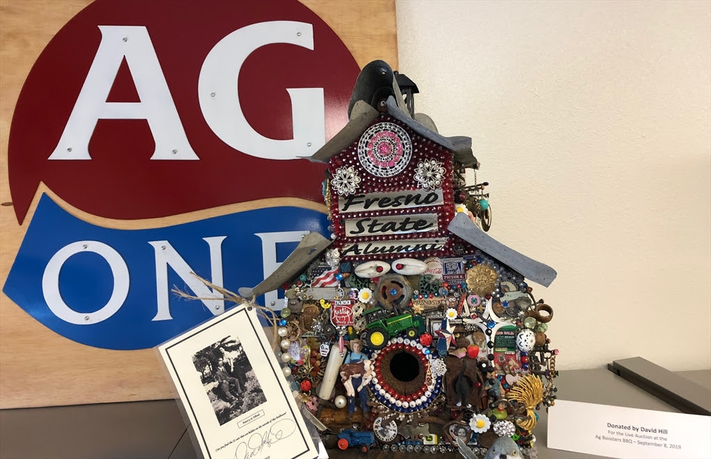 David Hill Birdhouse