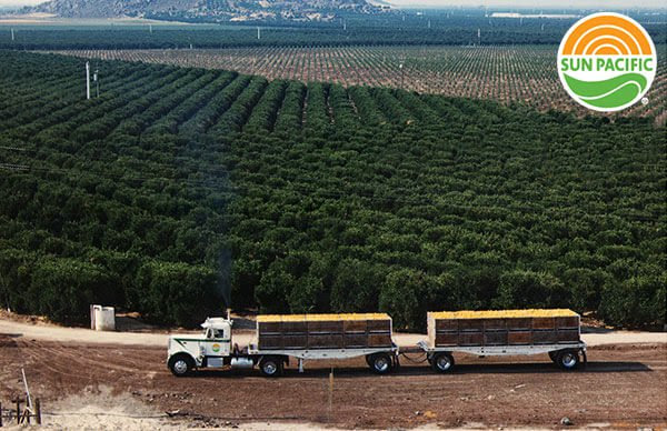 Kern county farms