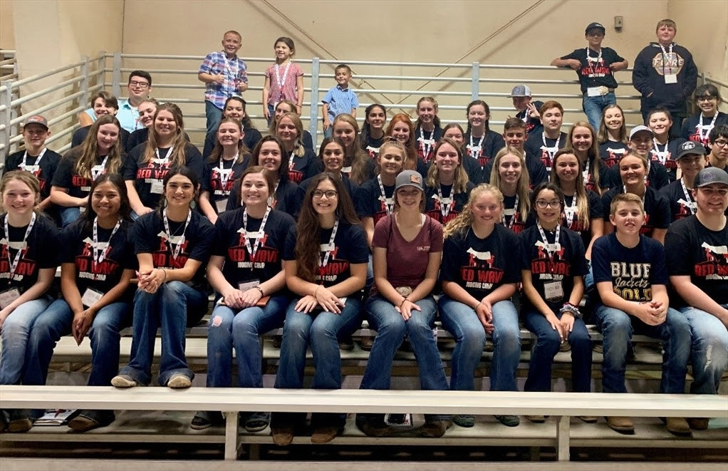 Livestock camp