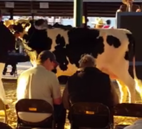 Melvold Dairy gift