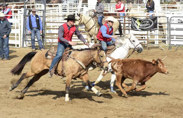 Rodeo Team