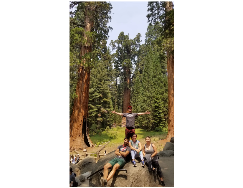 Azores students in Sequoia