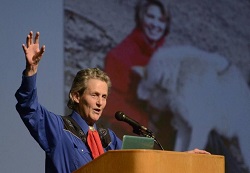 Temple Grandin 