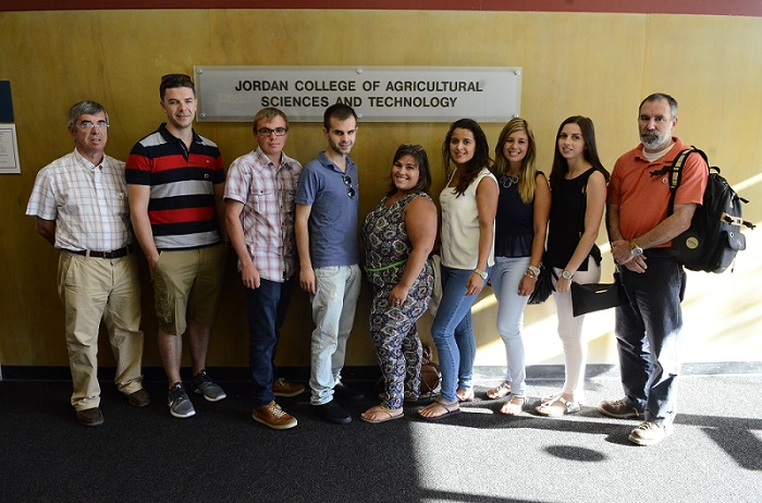 Azores group