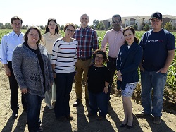 faculty group
