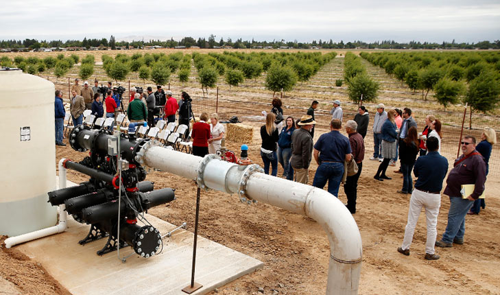 irrigation