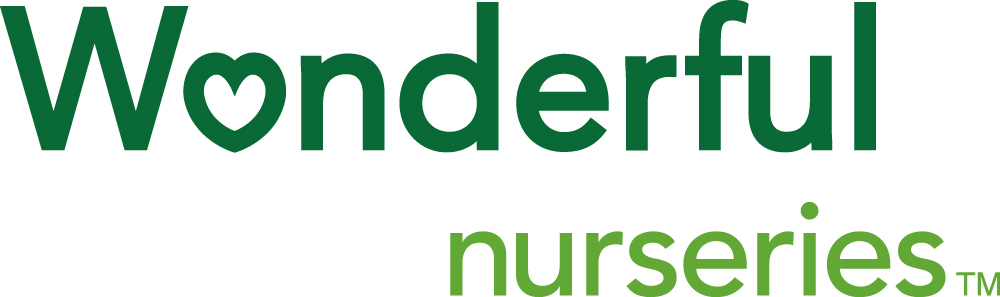 Wonderful logo