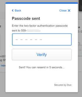 verification input code 