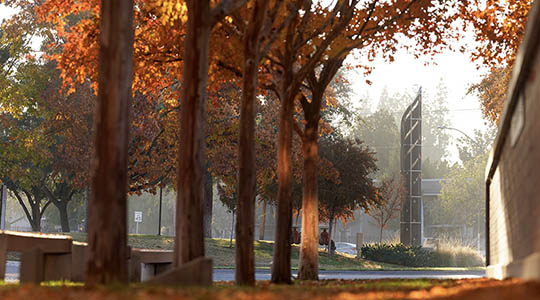 fall landscape photo on campus